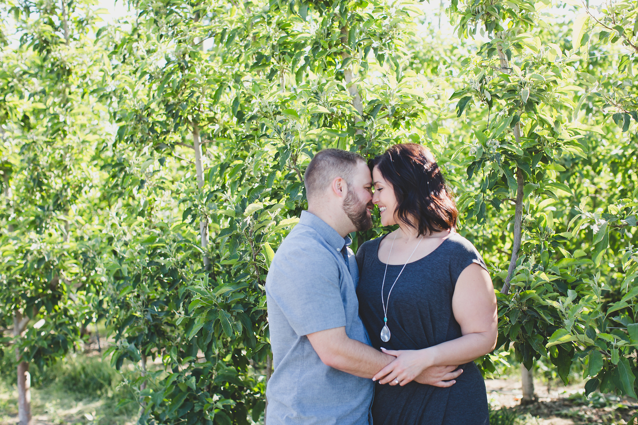 Engaged couple hugging in an apple orchard at Treveri Cellars in Yakima