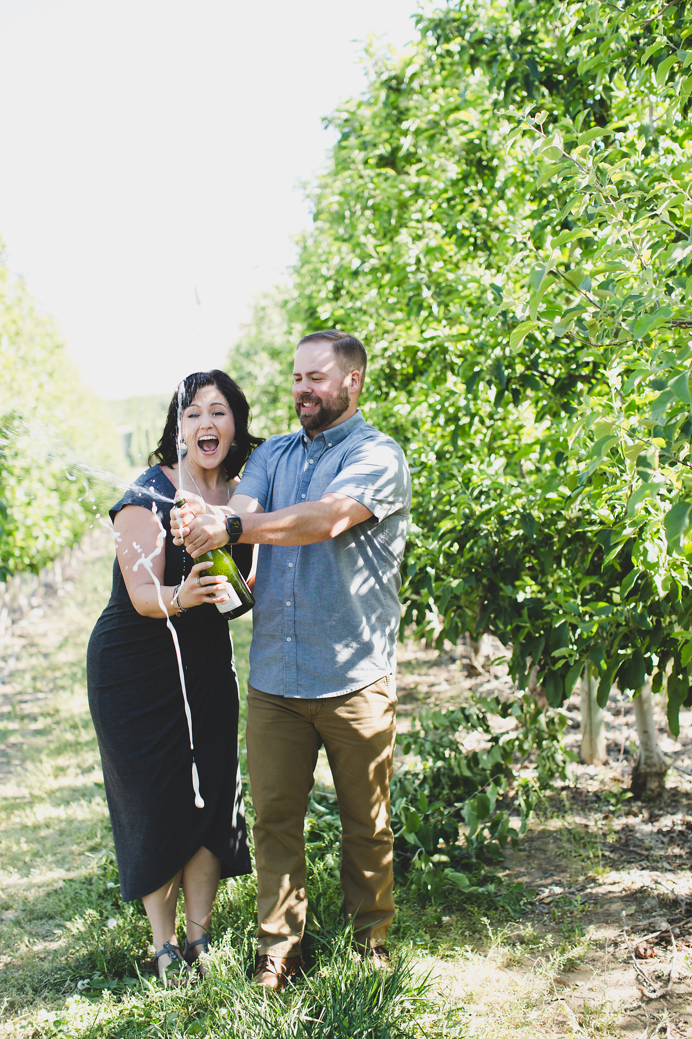 Engaged couple popping open champagne in an apple orchard at Treveri Cellars in Yakima