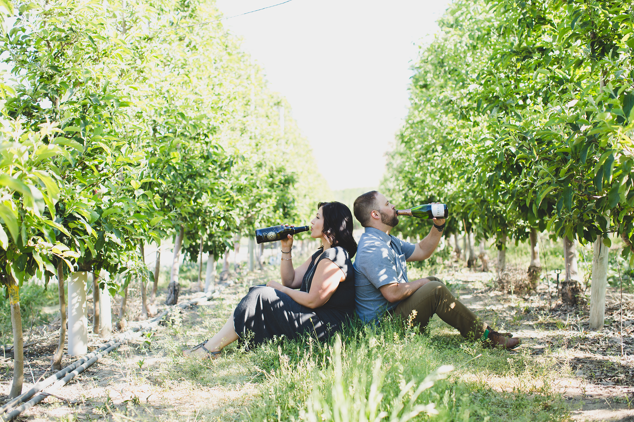 Engaged couple sitting in an orchard drinking from champagne bottles at Treveri Cellars in Yakima